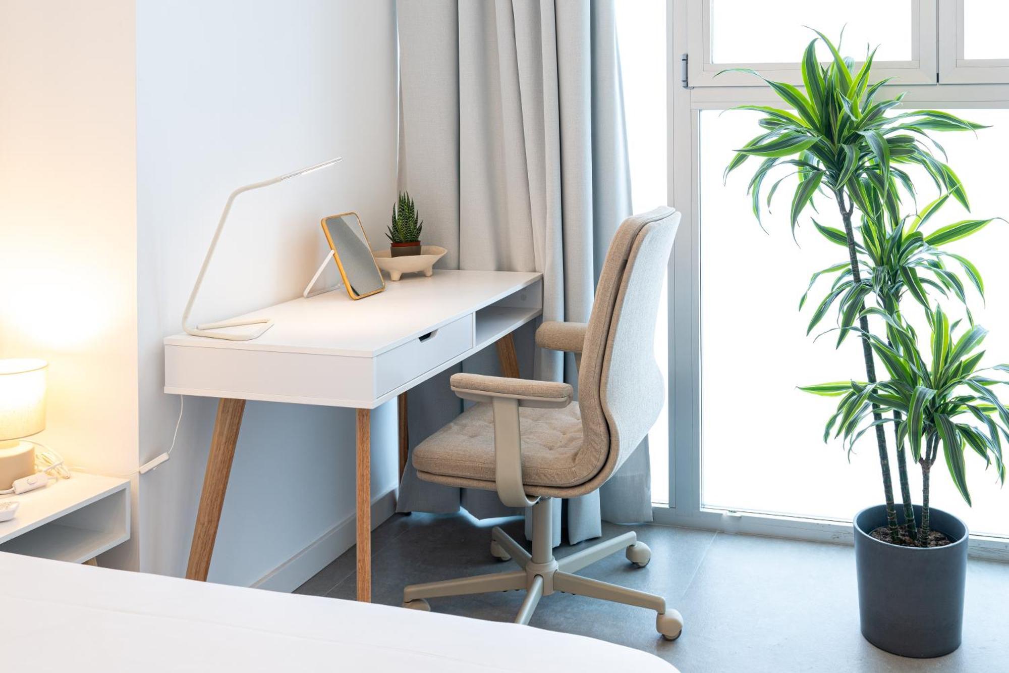 Main Lofts Valencia 아파트 외부 사진